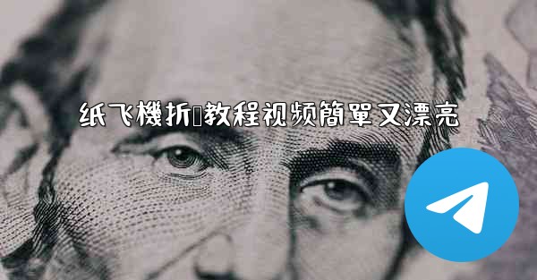 <b>纸飞機折叠教程视频簡單又漂亮</b>