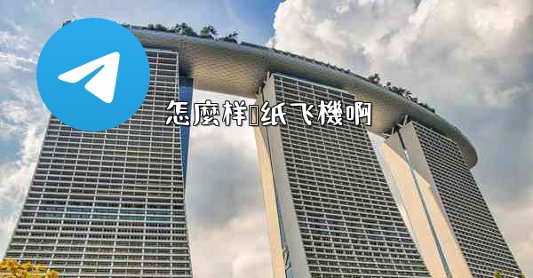 怎麼样叠纸飞機啊