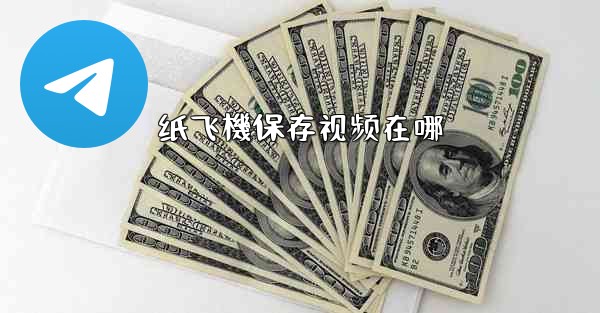 纸飞機保存视频在哪