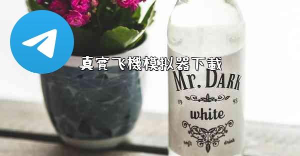 <b>真實飞機模拟器下載</b>