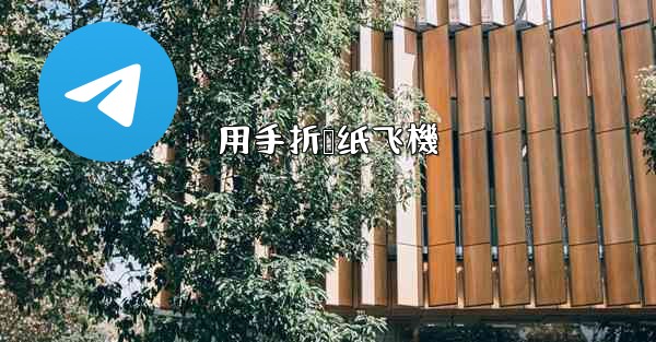 <b>用手折叠纸飞機</b>