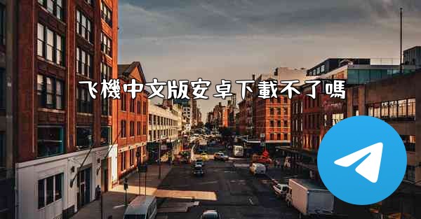 飞機中文版安卓下載不了嗎