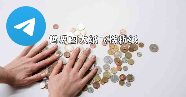 世界四大纸飞機折纸