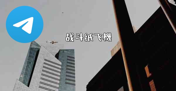 战斗纸飞機