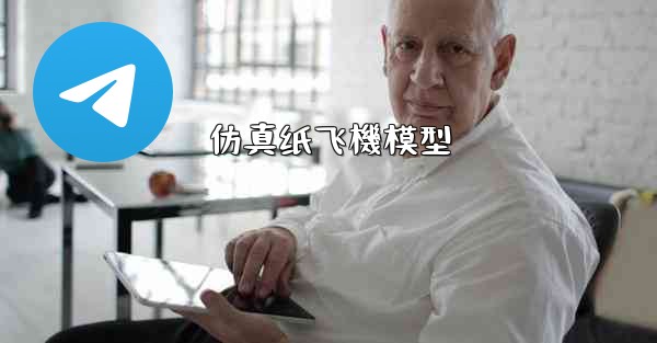 仿真纸飞機模型