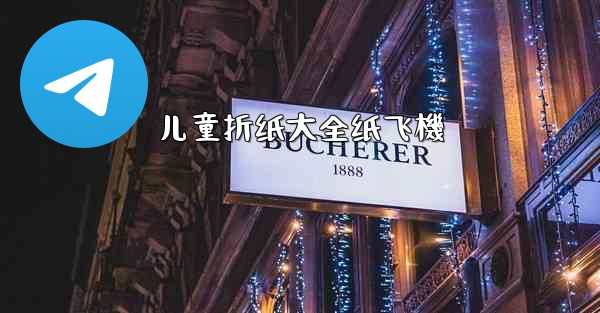 儿童折纸大全纸飞機