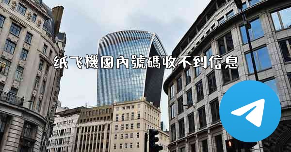 纸飞機國內號碼收不到信息