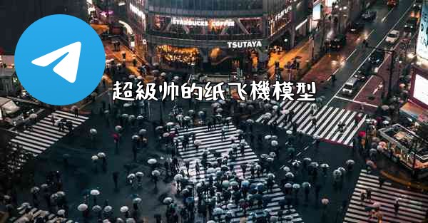 超級帅的纸飞機模型