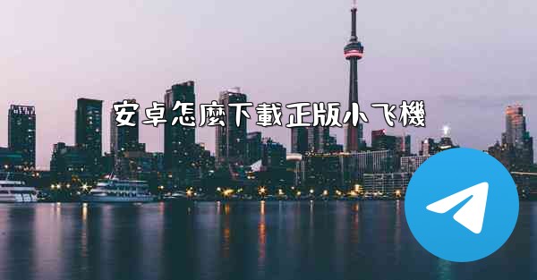 <b>安卓怎麼下載正版小飞機</b>