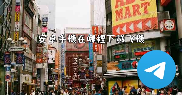 安卓手機在哪裡下載飞機