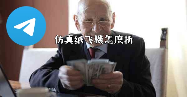 <b>仿真纸飞機怎麼折</b>