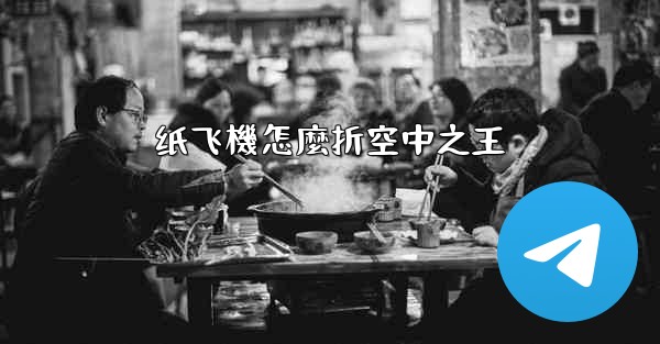 纸飞機怎麼折空中之王