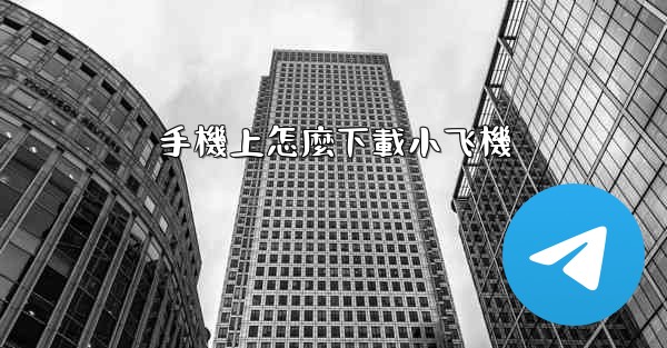 手機上怎麼下載小飞機