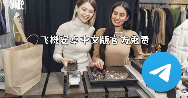 飞機安卓中文版官方免费