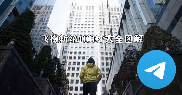 <b>飞機折纸100种大全图解</b>