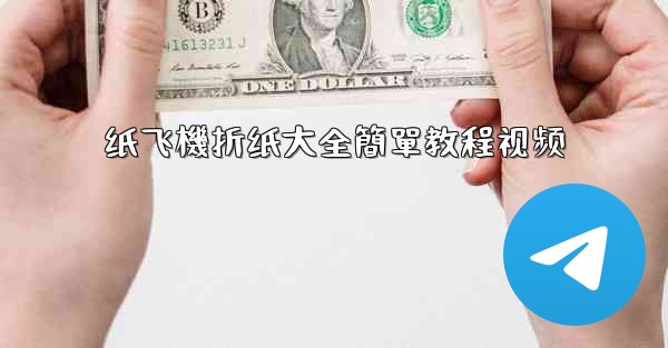 纸飞機折纸大全簡單教程视频