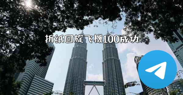 折纸回旋飞機100成功