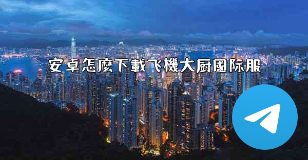 安卓怎麼下載飞機大厨國际服
