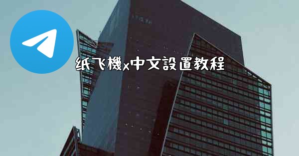 纸飞機x中文設置教程