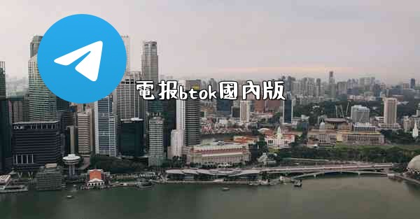 電报btok國內版