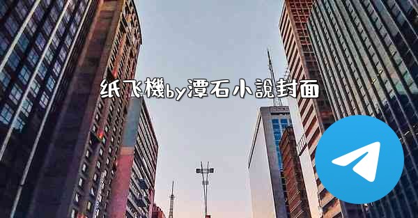 纸飞機by潭石小說封面