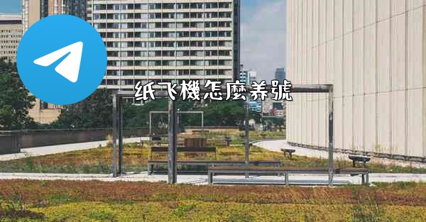 纸飞機怎麼养號