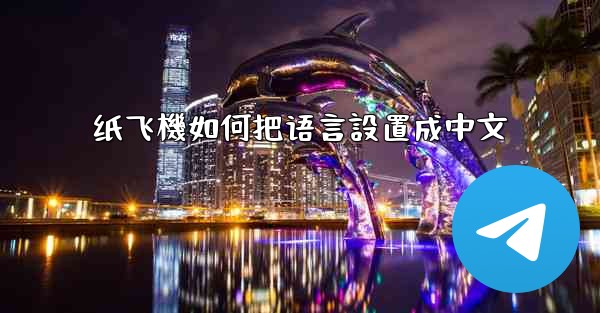 纸飞機如何把语言設置成中文