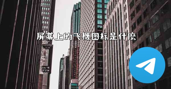 屏幕上的飞機图标是什麼