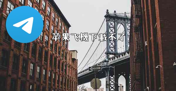 苹果飞機下載不了