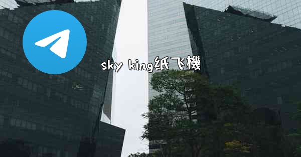 sky king纸飞機