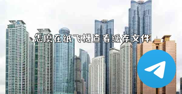 怎麼在纸飞機查看缓存文件