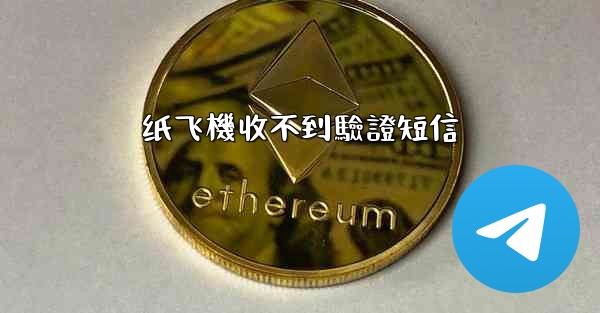 纸飞機收不到驗證短信