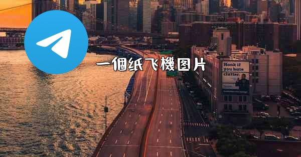 <b>一個纸飞機图片</b>