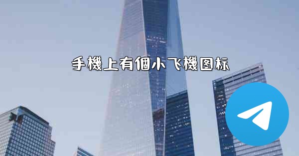 手機上有個小飞機图标