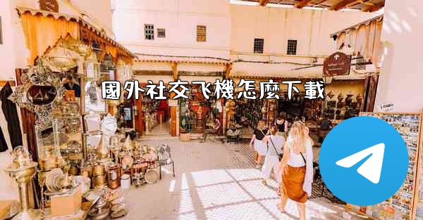 國外社交飞機怎麼下載