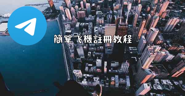 <b>簡單飞機註冊教程</b>