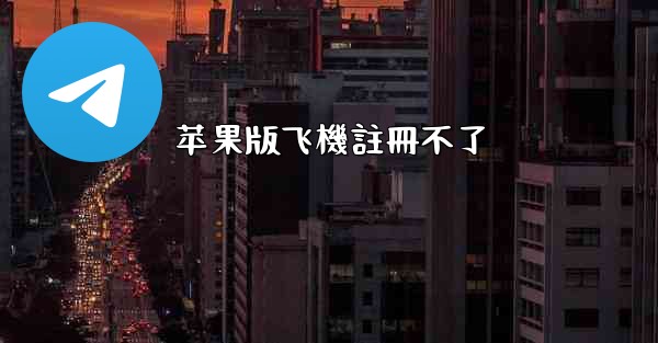 苹果版飞機註冊不了