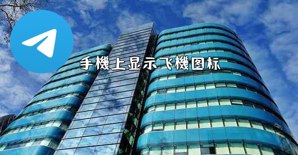 <b>手機上显示飞機图标</b>