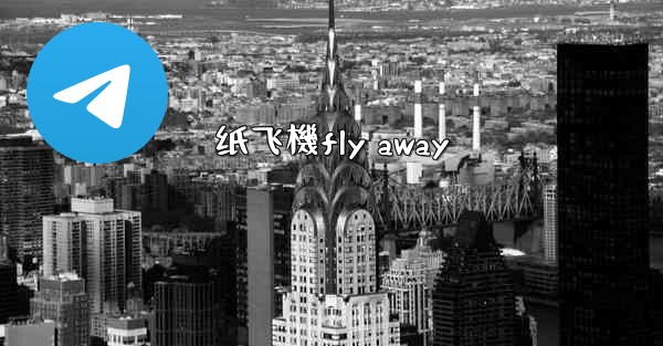 纸飞機fly away