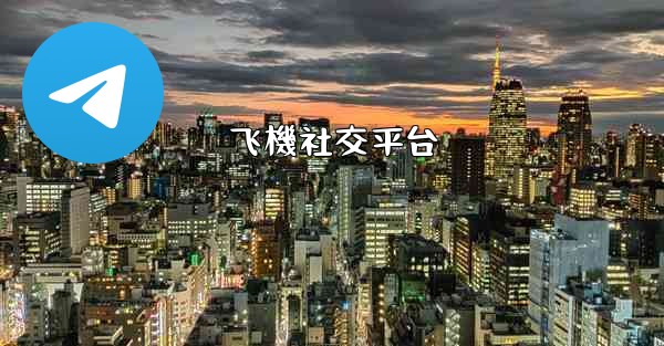 飞機社交平台