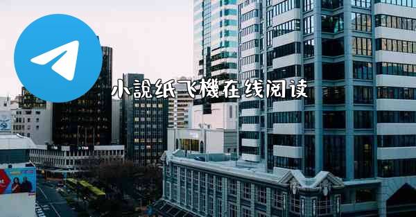 小說纸飞機在线阅读