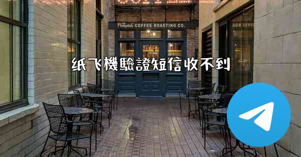 纸飞機驗證短信收不到