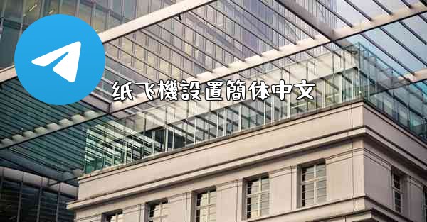 纸飞機設置簡体中文