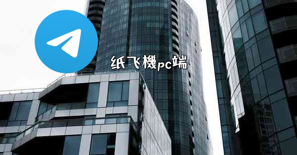 纸飞機pc端