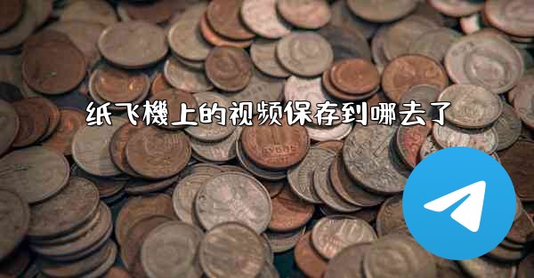 纸飞機上的视频保存到哪去了