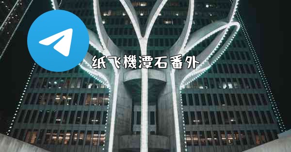 纸飞機潭石番外