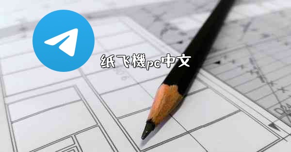 纸飞機pc中文