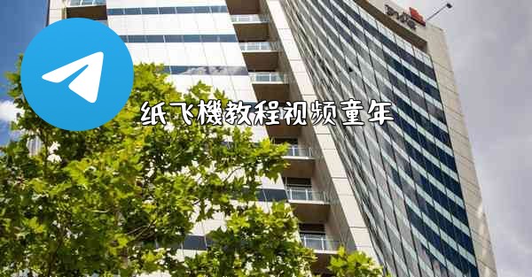 纸飞機教程视频童年