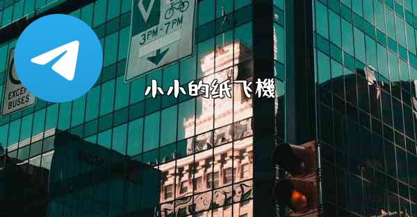 小小的纸飞機