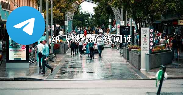 纸飞機txt在线阅读